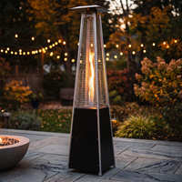 48,000 BTU Steel Propane Standing Pyramid Patio Heater with Wheels Ideal for Backyard Balcony 6-8 People — Studio Shot